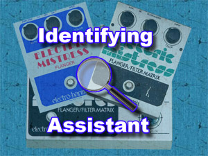 The Electric Mistress Identifying Assistant